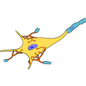 zenuwcel
