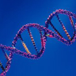 DNA dubbele helix