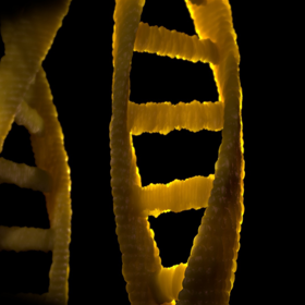 Dubbele helix DNA