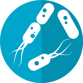 Bacterie - Afbeelding van mcmurryjulie via Pixabay