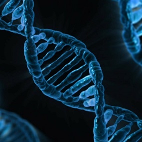 close up DNA
