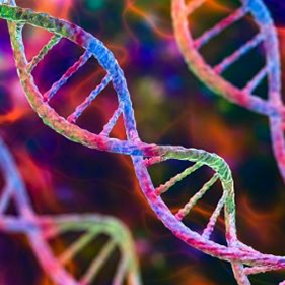 DNA