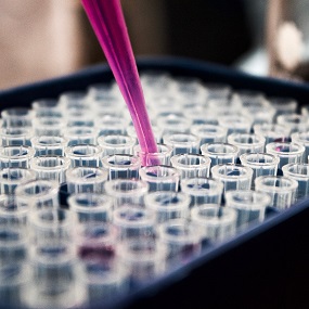 Pipet met paars vloeistof in reageerbuisje