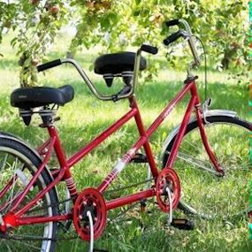 Tandem op het gras