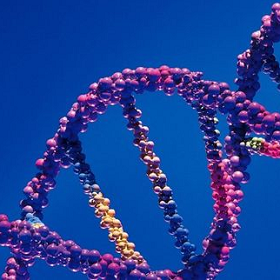 DNA