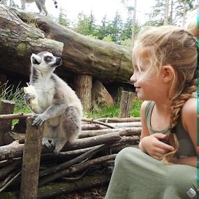 Kind kijkend naar een aap in een dierentuin