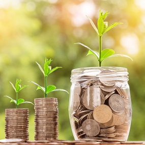 Geld in stapels en pot met plant