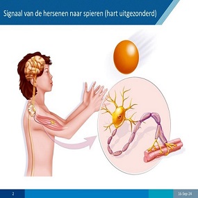Presentatie plaatje