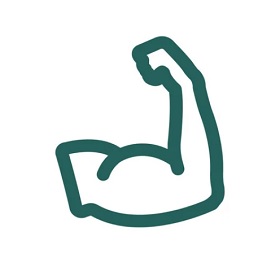 Spierbal