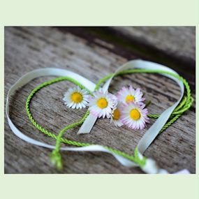 Een groen-wit hartje van lint met daarin 5 madelief bloemetjes.
