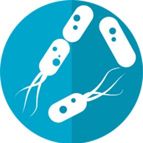 cartoon bacterie
