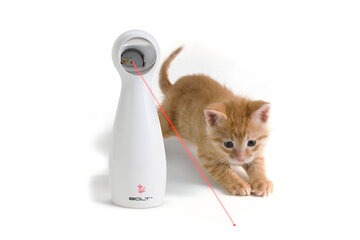 Beeld van: Frolicat Bolt