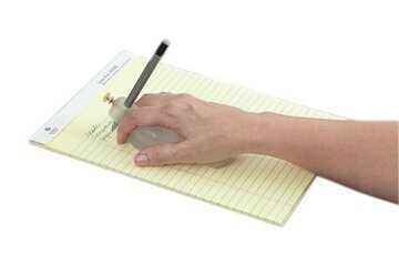 Beeld van: Writing Bird