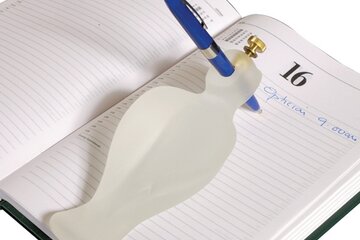 Beeld van: Writing Bird