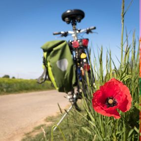 Fiets met fietstassen