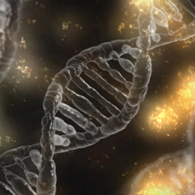 DNA